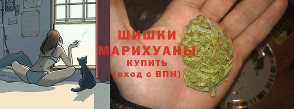 дмт Гусев