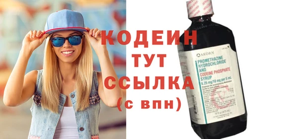 дмт Гусев