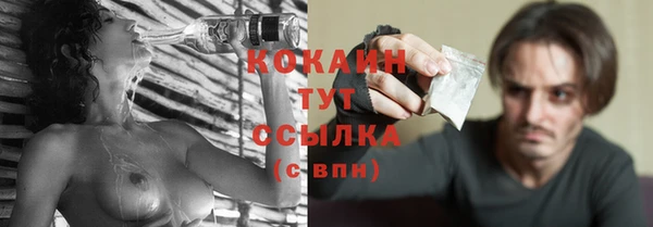 прущая мука Дмитриев