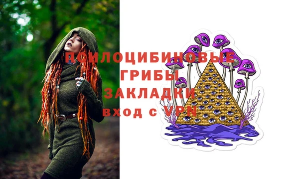 хмурый Новозыбков
