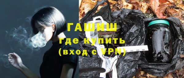дмт Гусев
